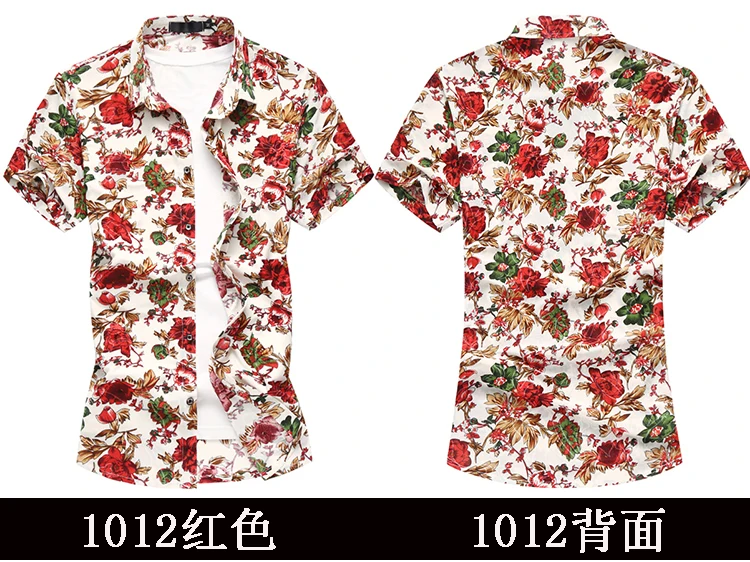 TB2YhIQhKySBuNjy1zdXXXPxFXa_!!315491936