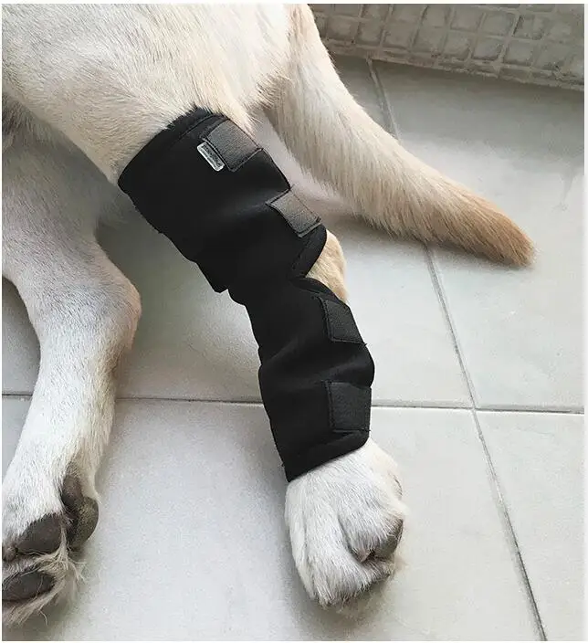 Фиксатор для собак, поддерживающий сдавливание ног, защита от ран и травм