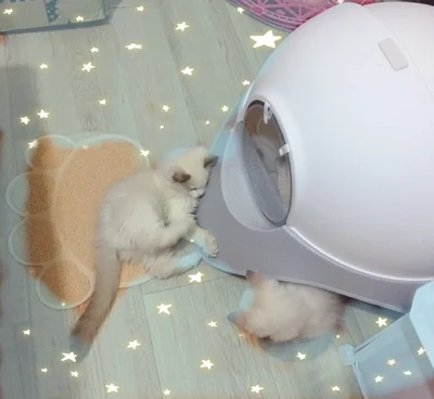 O1CN011EHnyeswJsAVbqC_!!0-rate.jpg_400x400