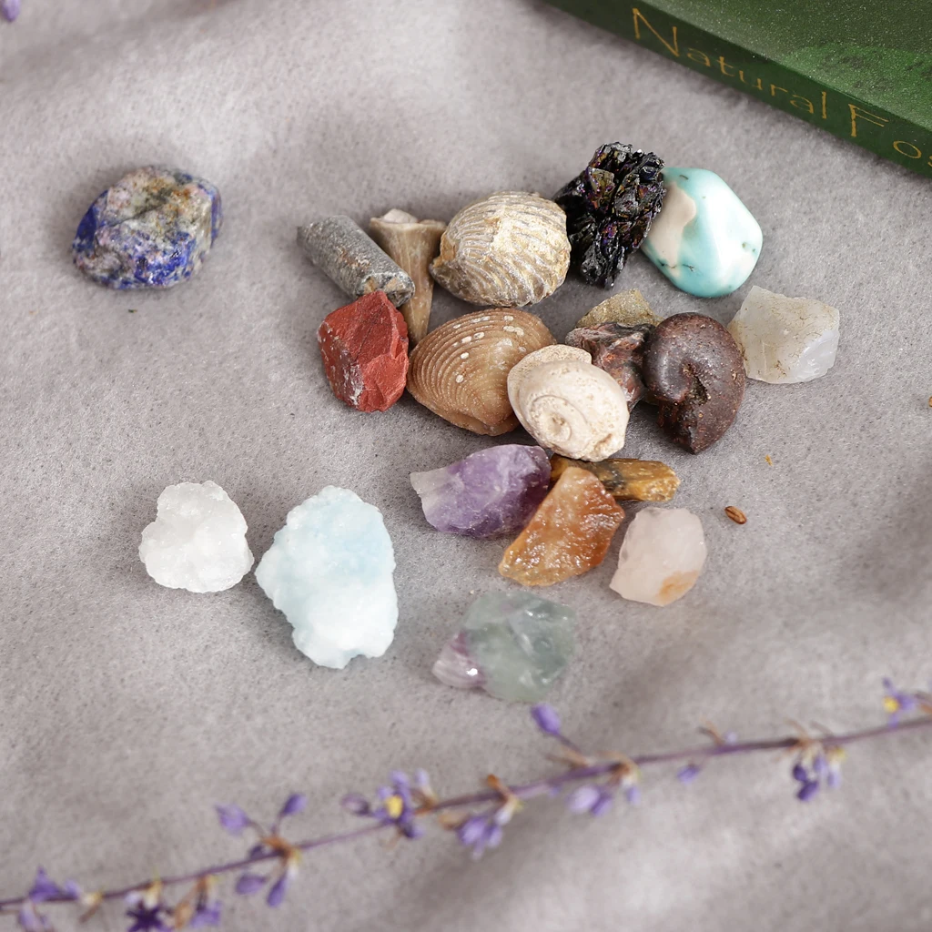 Rock & Mineral Collection GN201 Geology Science Kit Earth Science Toy - Pack Of 20