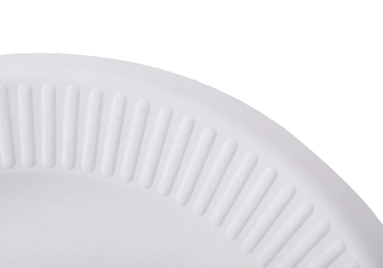Disposable plate for BBQ