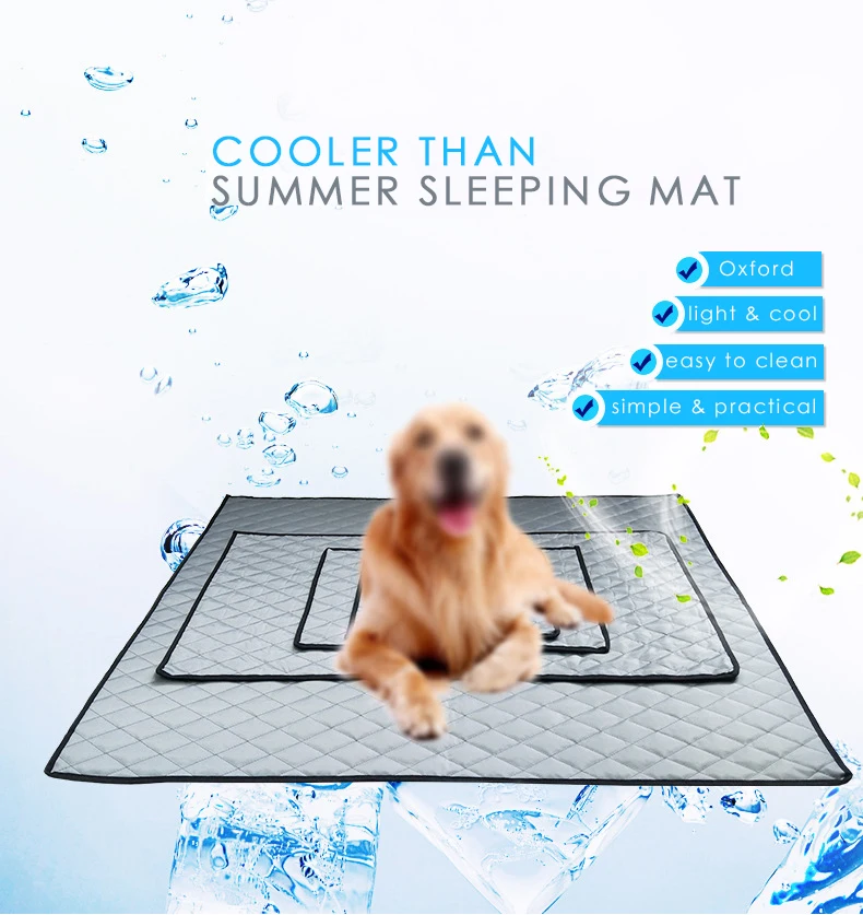 2 dog mattress