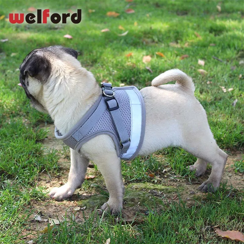 

Pet Led Dog Collar Leash For Dogs Cats Puppy 2 Piece Set Doggy Harness Reflective Dog Harness Pet Supplies Products Accessories