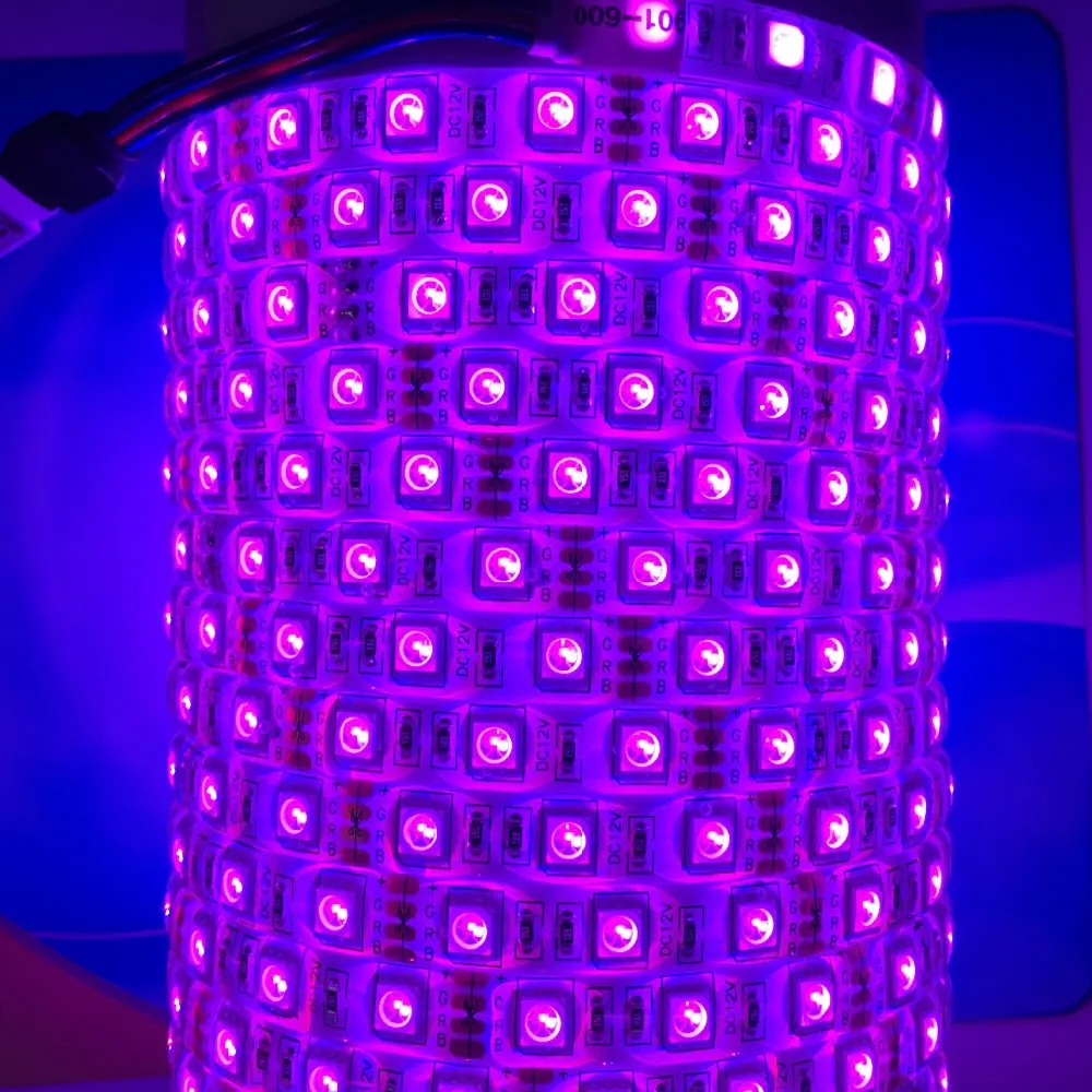3785689936_1189836908