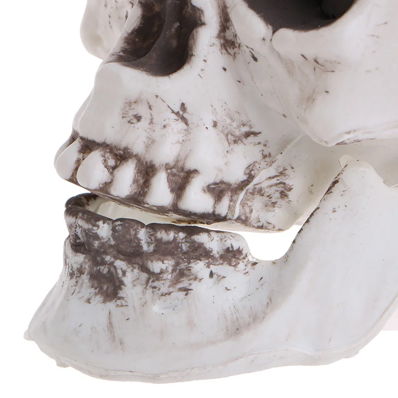 Пластик скелет модель человека Мини Череп Скелет пропеллер модели скелет головы спецодежда медицинская науки школьные канцелярские