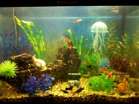 2 шт. искусственные Медузы для аквариума|fish decoration|artificial jellyfishjelly fish |