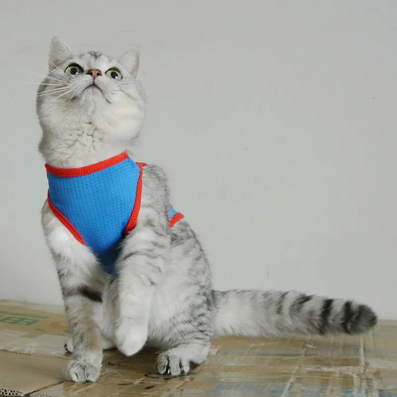 Новое поступление, модный жилет с котом, Одежда для животных с Суперменом, крутой дышащий материал, Джерси, рубашка, одежда для кошек, gatos roupa para 2