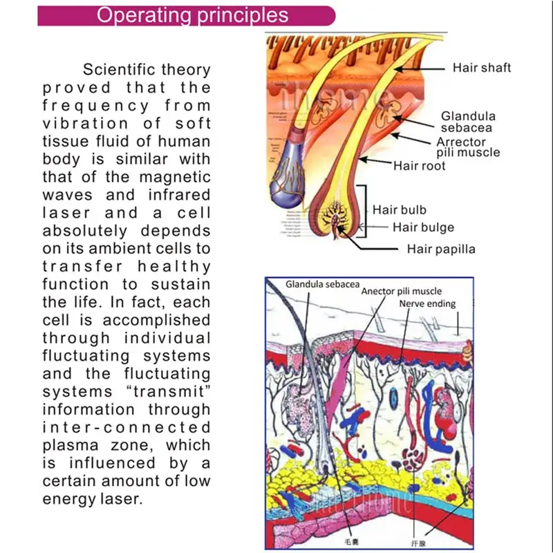 laser-massage-comb-main-1-(9)