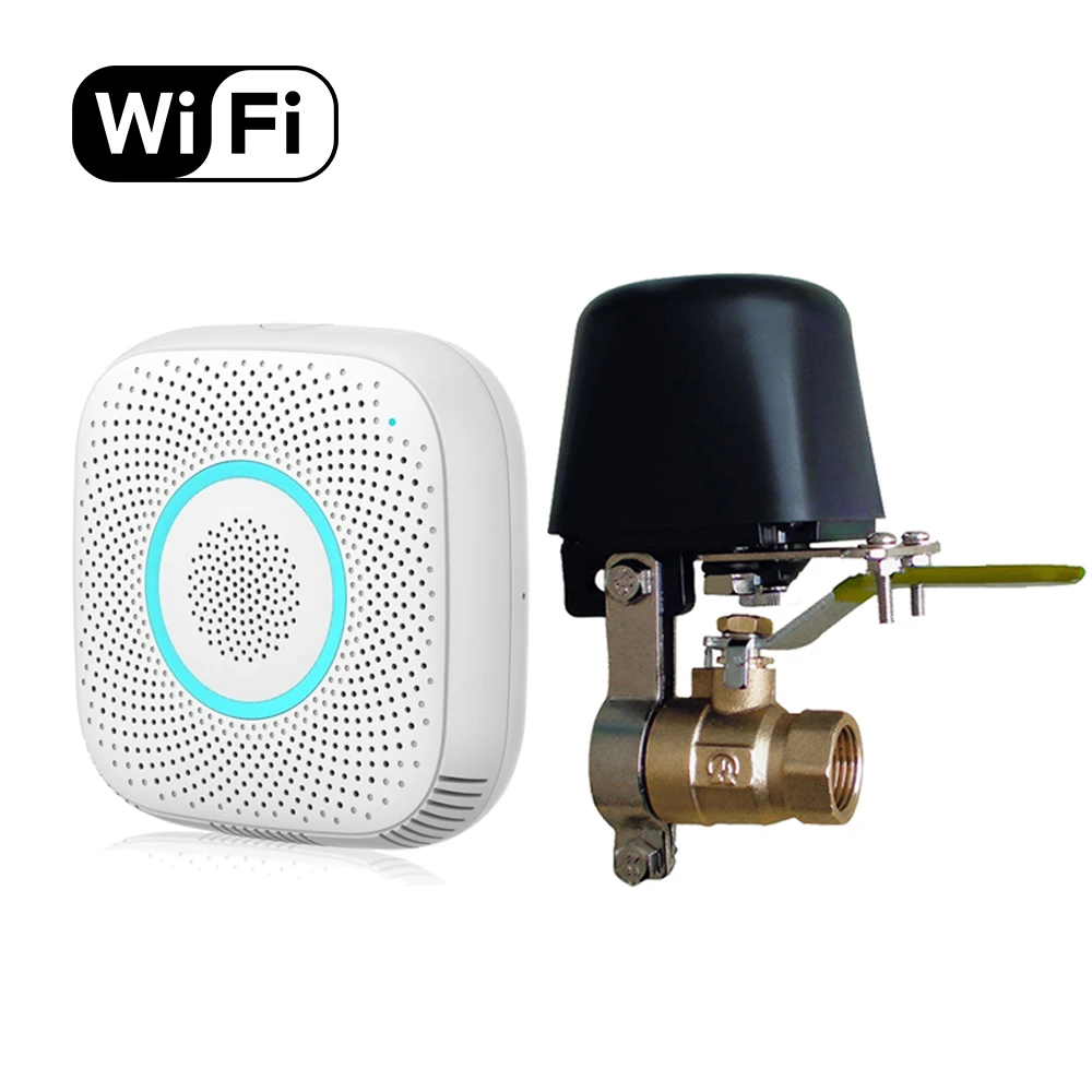 

Electric Home Wifi Theatre Ipg Gas Detector Home Security Remote Alarm Ipg Gas Sensor system