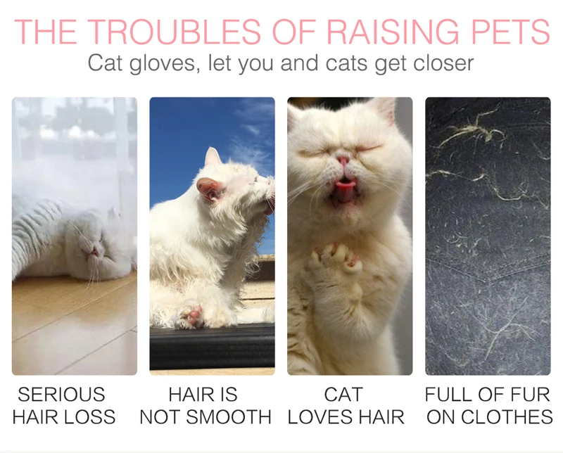 2 pet hair remover 