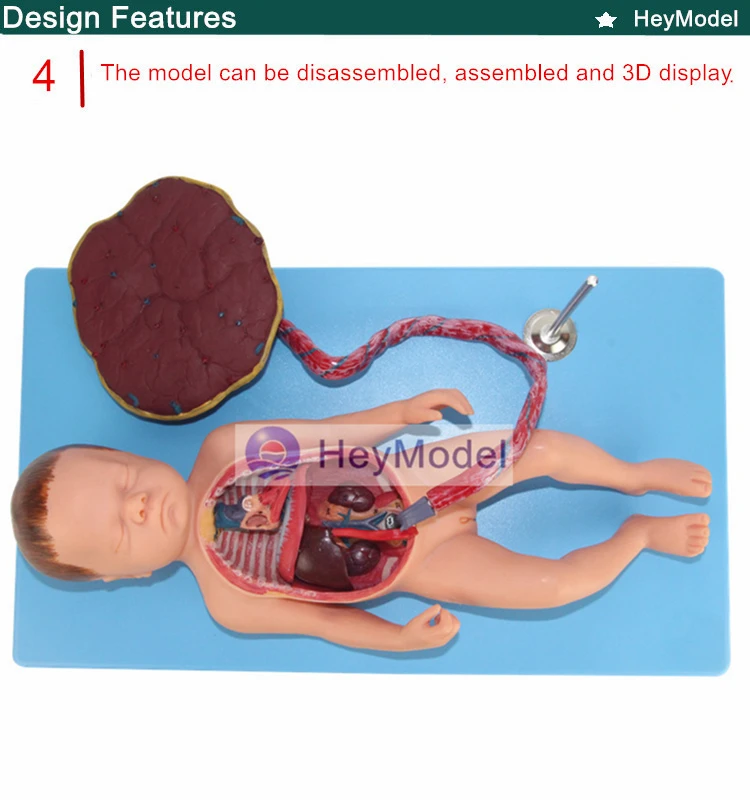 4 _