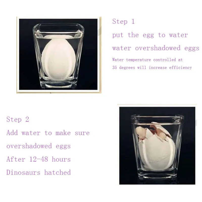 6PCS-Magic-Water-Growing-Dinosaur-Egg-Hatching-Colorful-Dinosaurs-Add-Cracks-Grow-Eggs-Cute-Children-Kids-Toy-For-Boys-TY0017 (8)