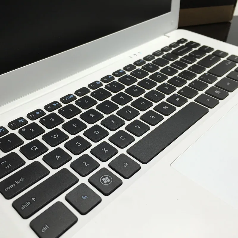IMG_7356_