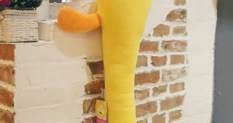 Plush Toys (10)