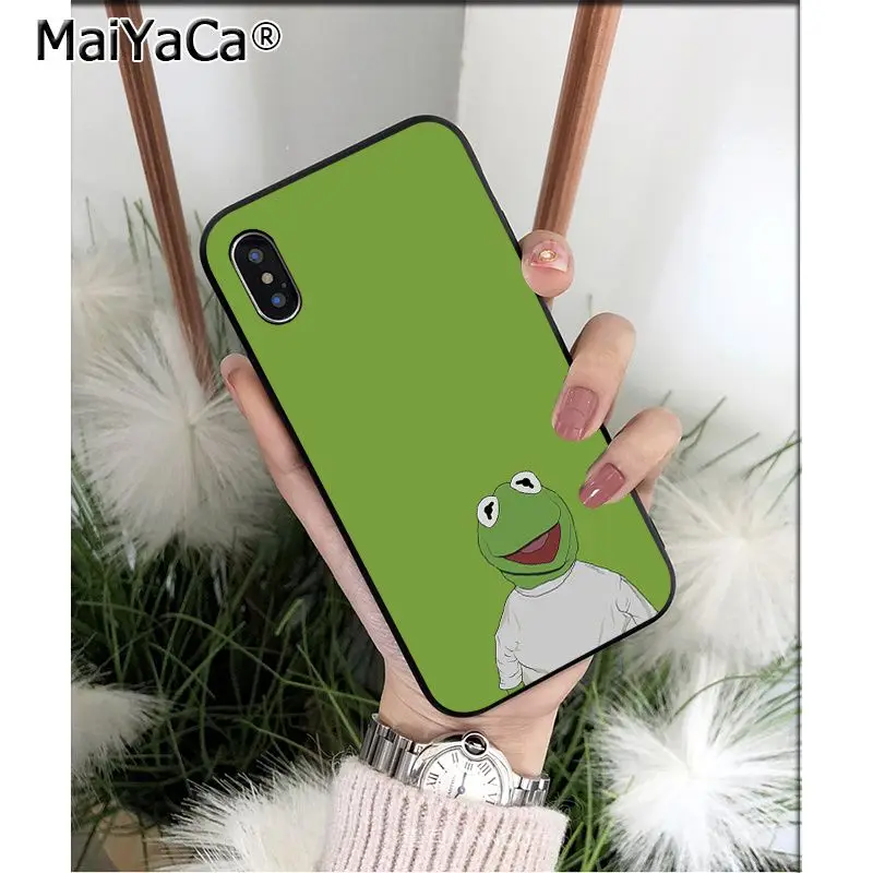 Kermit the frog