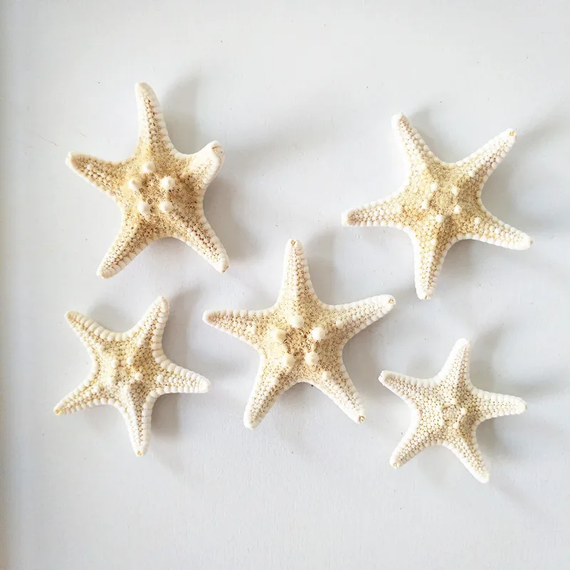 HappyKiss натуральные морские звезды, бежевый цвет, скрапбукинг, вечерние украшения для дома, разные цвета, 5 шт., 2-4 см, морская звезда, морская звезда