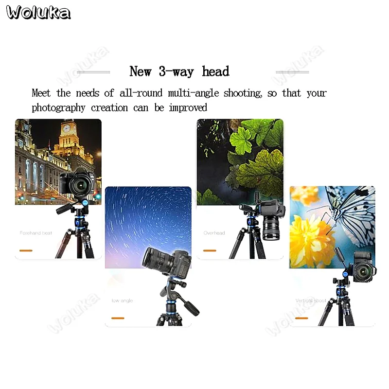 36020190220132856758