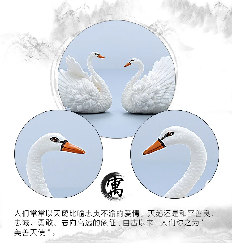 爱情天鹅_06