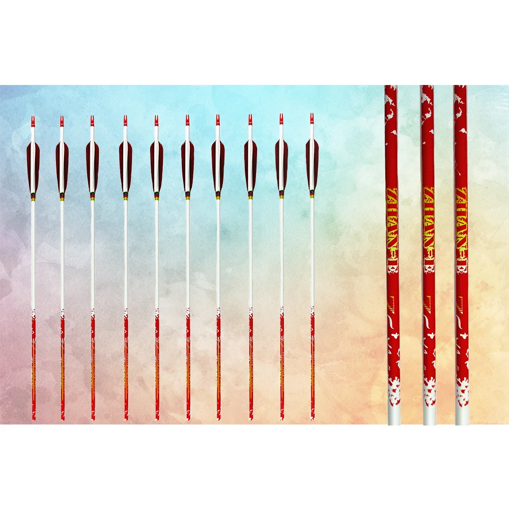 carbon arrows