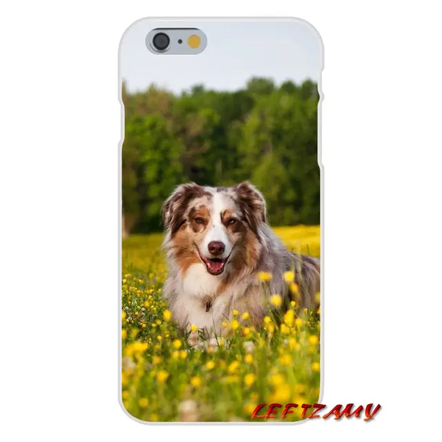 Us 099 Australian Shepherd Shiba Inu Dog Silicone Phone Shell Cover For Iphone X Xr Xs Max 4 4s 5 5s 5c Se 6 6s 7 8 Plus Ipod Touch 5 6 In