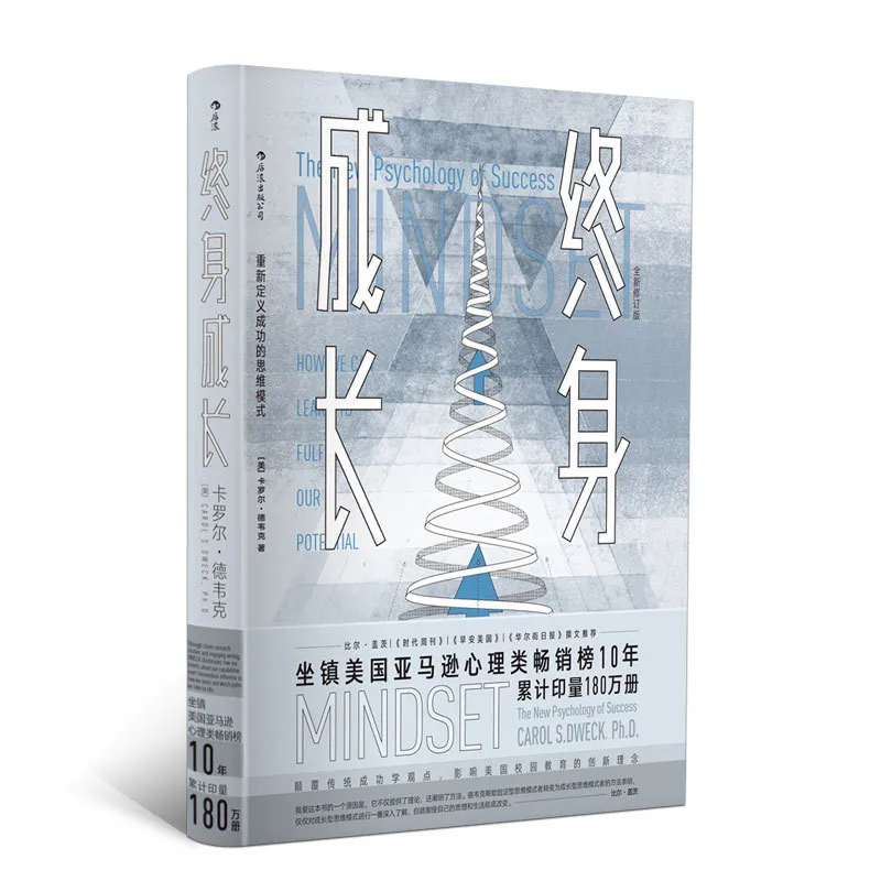 new-chinese-the-new-psychology-of-success-book-lifelong-growth-mindset-books-for-adult-success-inspirational-book