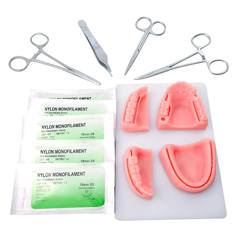 

Teaching Training Equipment Skill Practice Dental Simulation Oral Suture Model with Needle Gum Suture