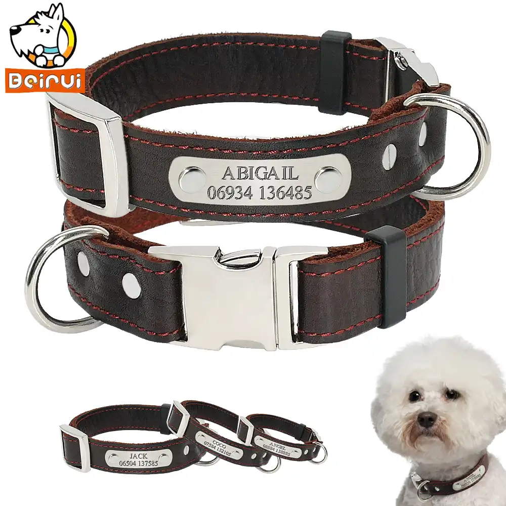 Personalized Large Dog Collars Adjustable Padded Customized Pet Name ID
