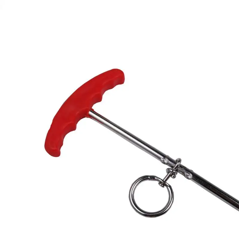 dog leash yard anchor