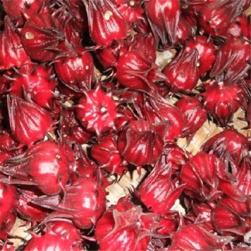 100 PCS / bag Roselle Ilibiscus Roselle Juice Tea Hibiscus Sabdariffa Maintain Beauty And Keep Young Bonsai Garden Flower Plant