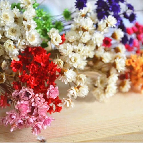 

30PCS Mini Daisy for necklace jewelry making, wishing bottle findings