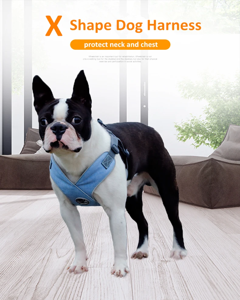  Dog Harness (27)