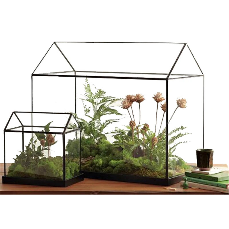 Buy Rectangle Table Dodecahedron Glass Terrariums