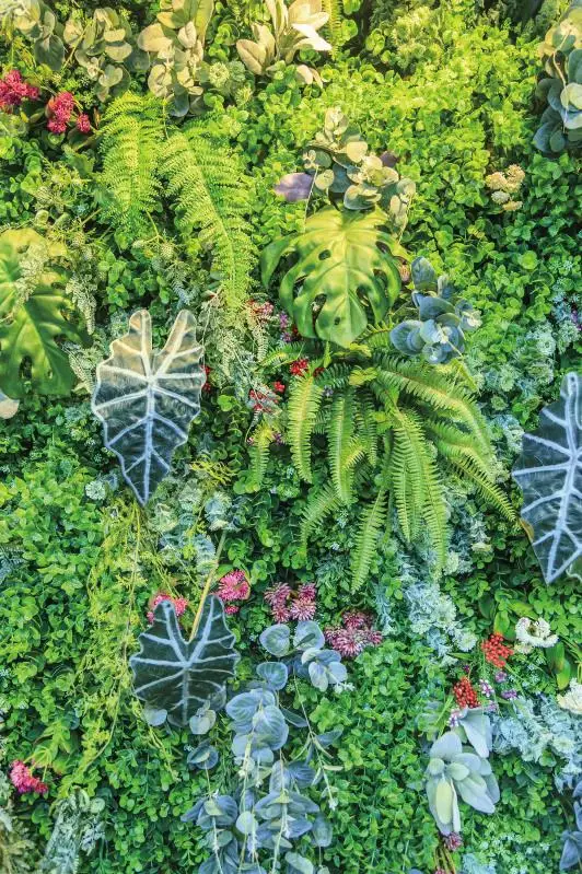 

Laeacco Photography Backdrops Green Tree Leaves Colorful Pattern Wall Portrait Scenic Photographic Backgrounds For Photo Studio