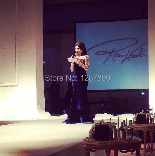 Arabia Singer Мириам Фарес вышивка знаменитостей платья одно плечо с длинным рукавом синее силуэт "Русалка" бархатное вечернее платье