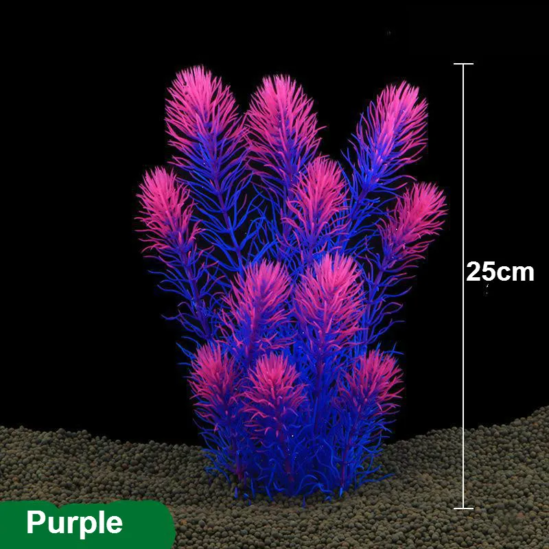 HTB1A9DqgamgSKJjSsphq6Ay1VXaL