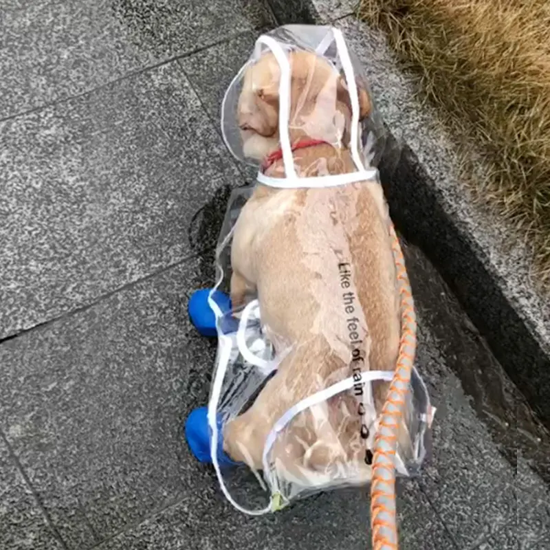 HOOPET плащ для собак, домашних животных одежда прозрачный плащ светильник одежда Водонепроницаемый дождевик для маленьких собак с капюшоном