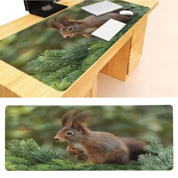 

congsipad Beautiful Anime Eating squirrel Keyboard Gaming MousePads Size for 300x700x2mm and 300x900x2mm Mousepad