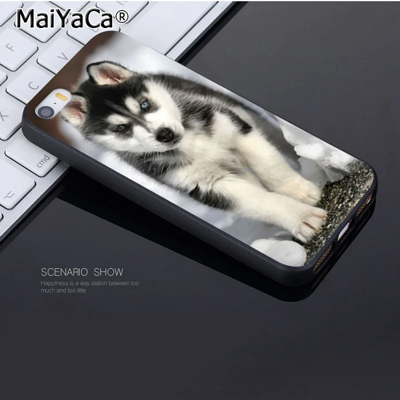 Чехол для iphone 12 11 Pro 8 7 6 6S Plus X 5 XS XR XSMAX|Бамперы| |