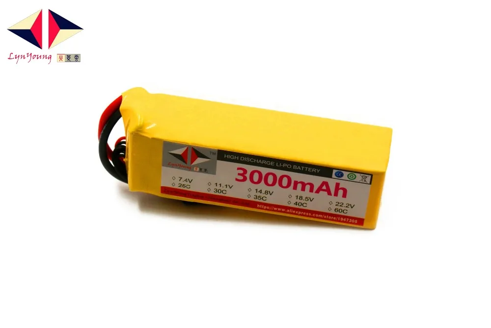 0DSC05206