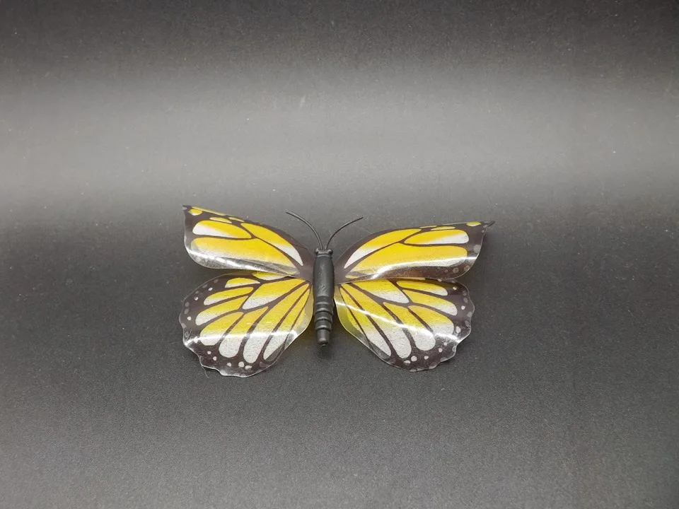 I271-Butterfly (5)