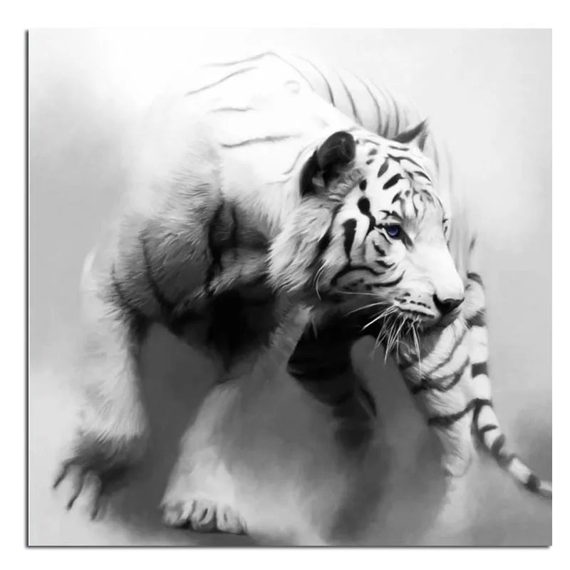 28 Gambar Harimau Putih Keren 3d Gambar Kitan