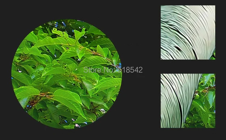 Пользовательские фотообои обои 3D Ultra HD лес небо потолок Фреска настенные фрески для Гостиная Спальня Домашний Декор обои