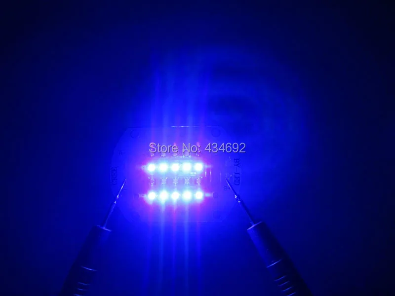 XPE20 (5)