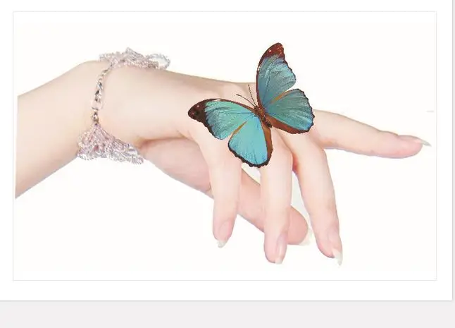 

wall & floor sticker mini wooden magnet creative butterfly home decoration wedding christmas giftsflf