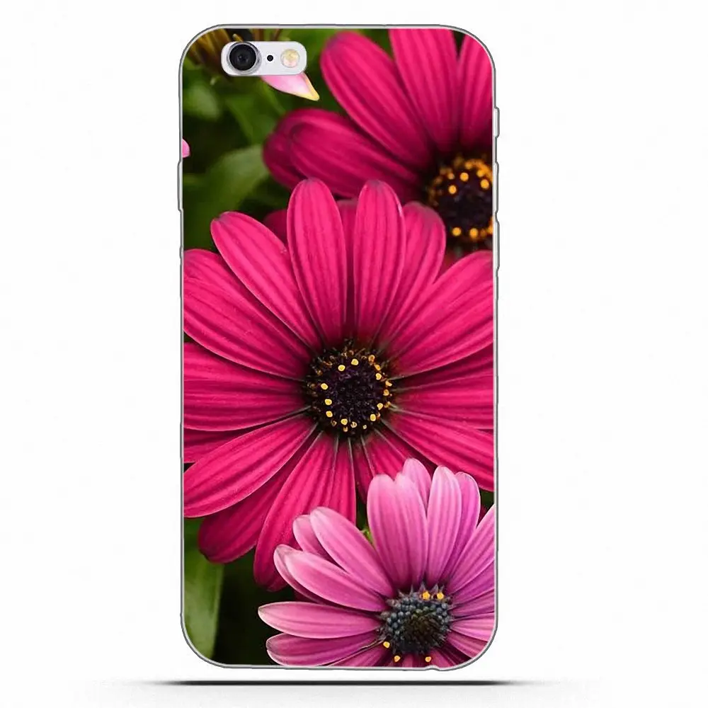 Wexoeq For Huawei Honor 4C 5A 5X 6A 6C 6X 7X 9 V8 V10 Mate 7 8 10 P9 P20 Pro Lite Play Soft Coque Daisy Flower