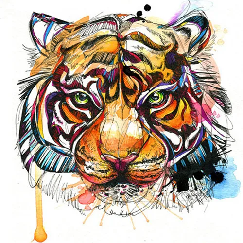 78+ Gambar Warna Harimau Paling Hist 78+ Gambar Warna Harimau Paling Hist