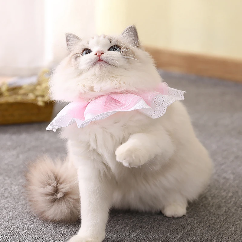

@HE Pet Necklace Scarf Adjustable Dog Flower Bib Wedding Accessories Cat Fashion Princess style Lace Flower With Bells Collars