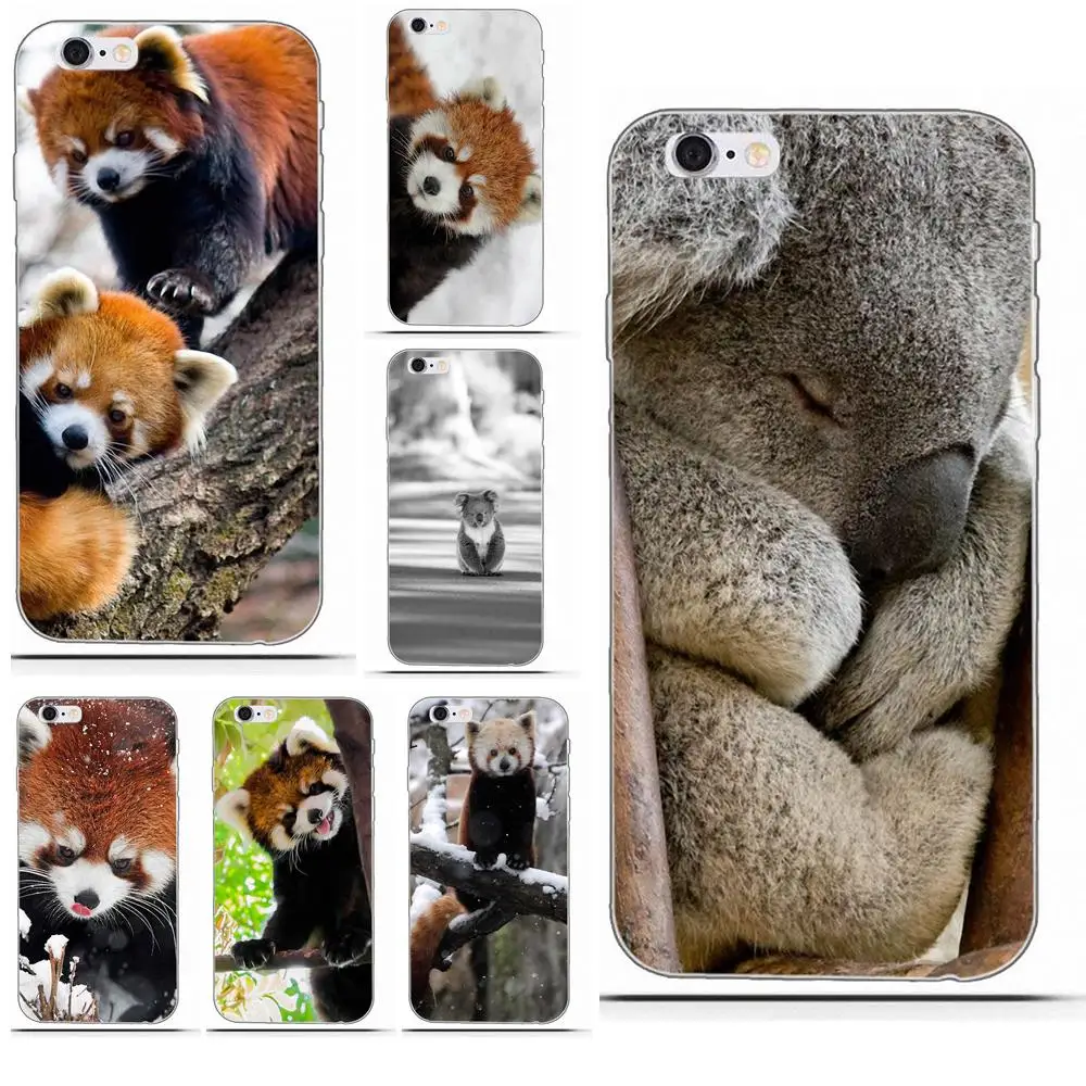 Cute Fox Koala Animal TPU Cell Case For iPhone 4 4S 5 5C