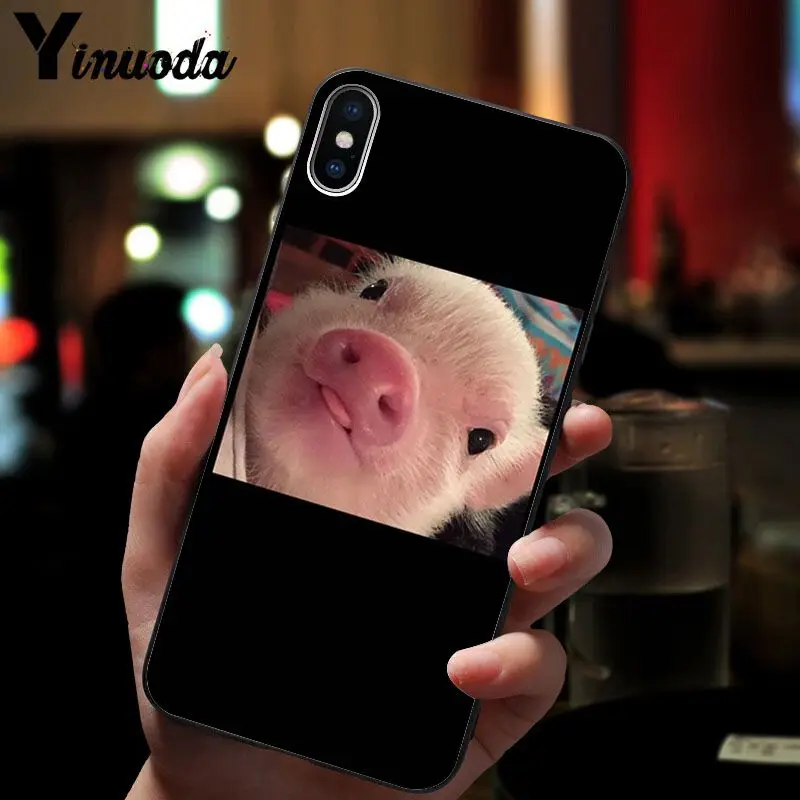 Cute Pig Print 