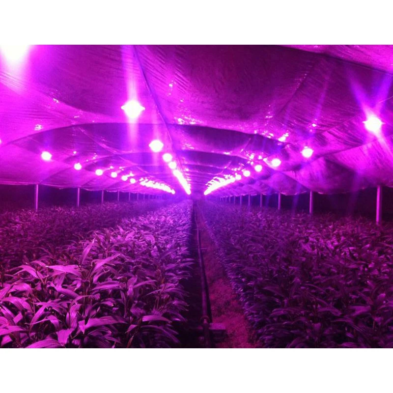 Светодиодные лампы COB светоизлучающие диоды 100 Вт 150 круглые полосы DIY